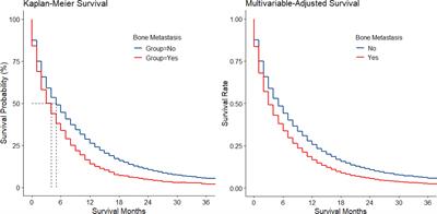 Bone Metastasis From Gastric Adenocarcinoma—What Are the Risk Factors and Associated Survival? A Large Comprehensive Population-Based Cohort Study